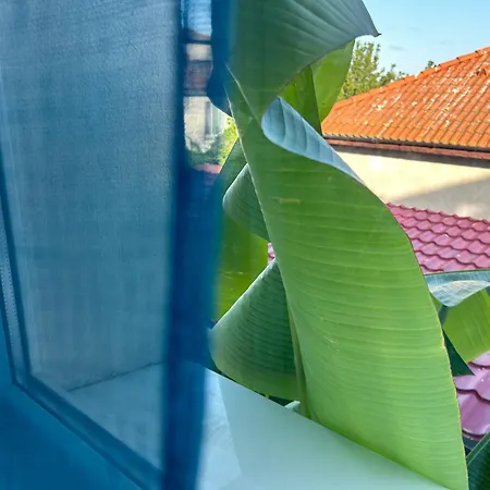 Guest house оазис сарай -